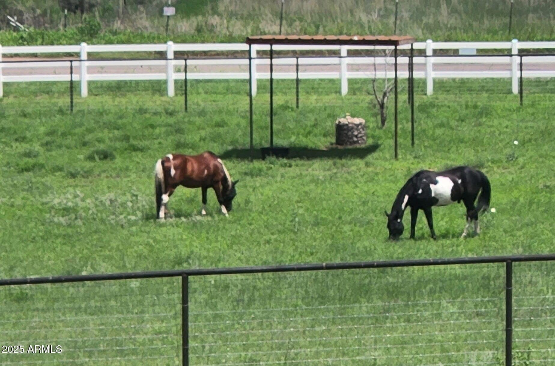4 Mustang Trail — photo 2