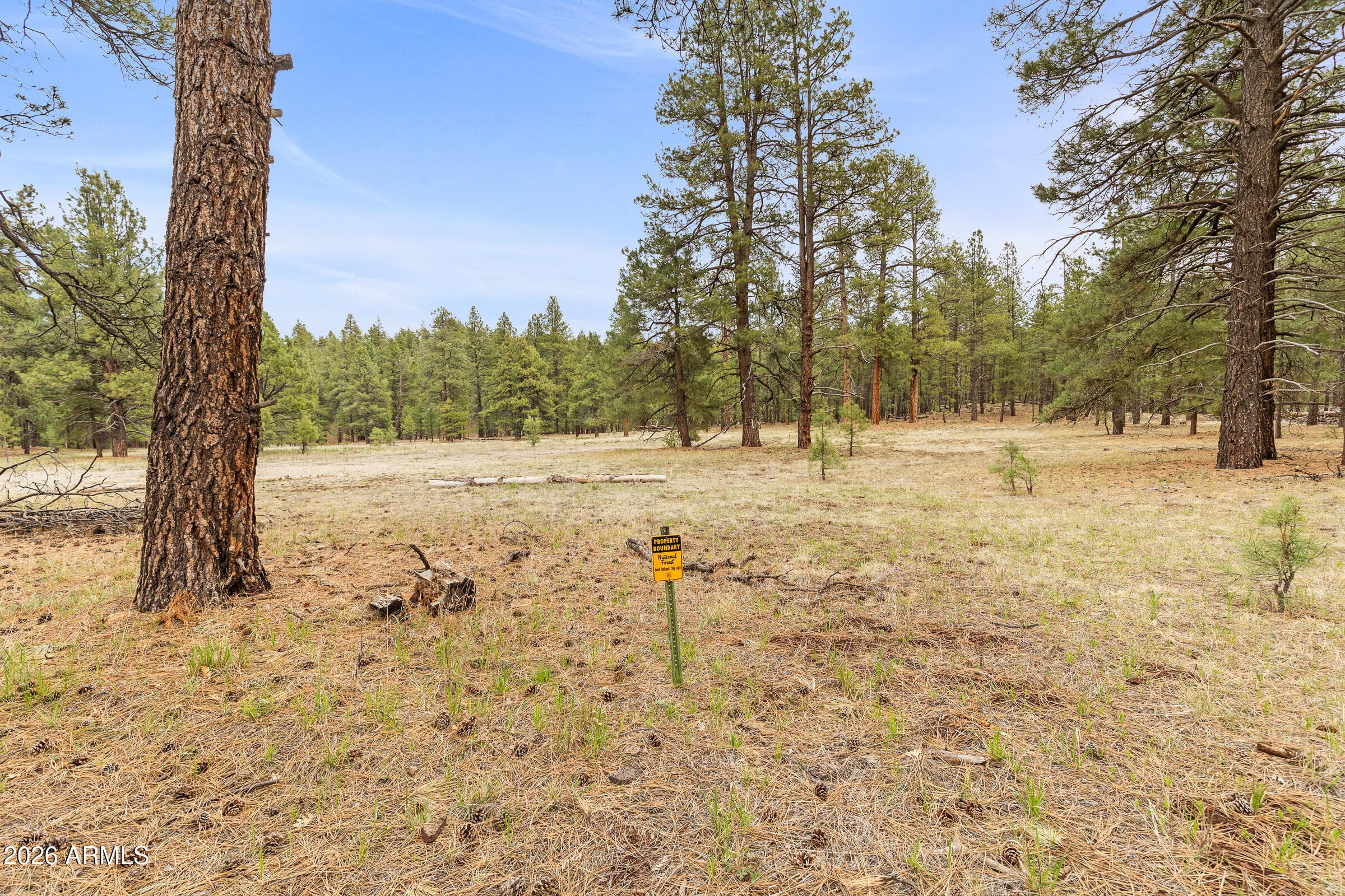2175 S Eagle Creek Lane — photo 4