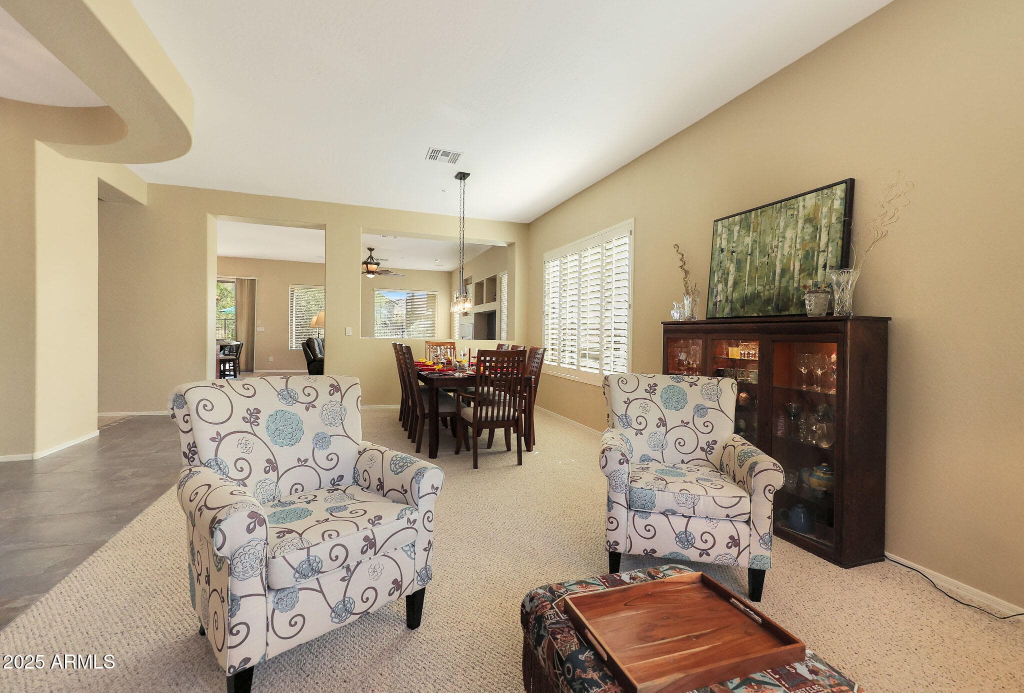 41019 N Congressional Drive — photo 5