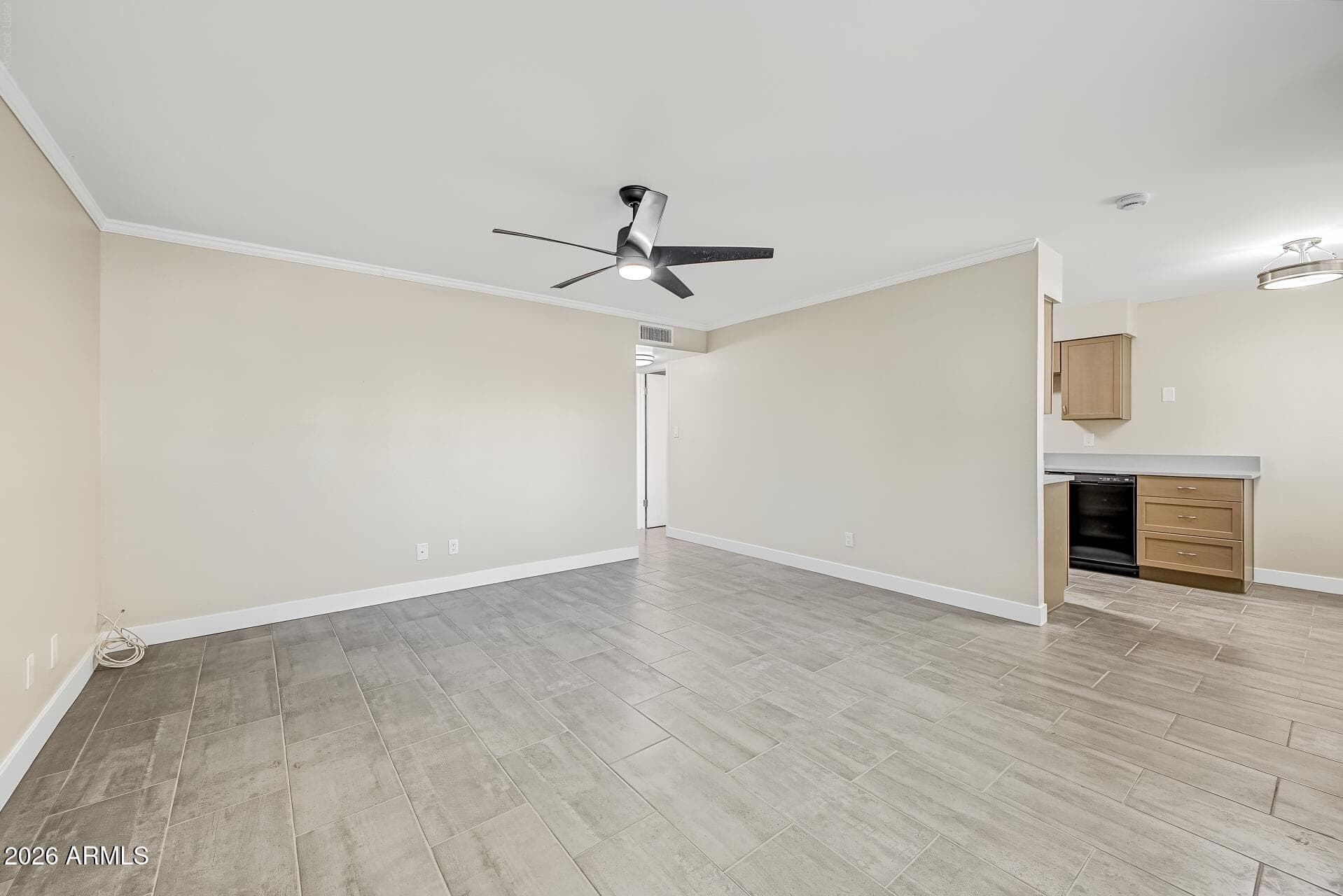 10123 N 96th Avenue B — photo 3