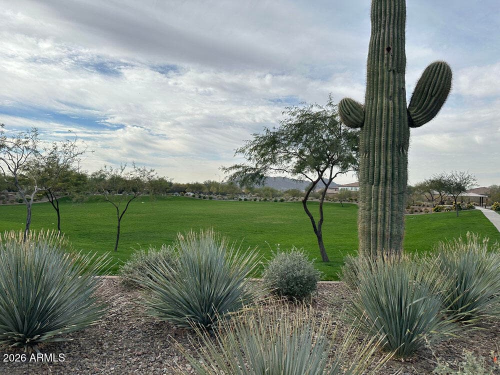 7935 W Desert Spoon Drive — photo 8